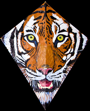 Tiger Kite 1