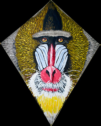 Mandrill Kite 2
