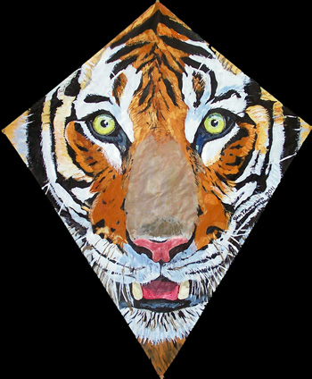 Tiger Kite 3