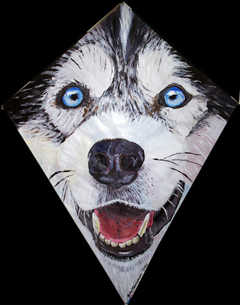 Husky Kite