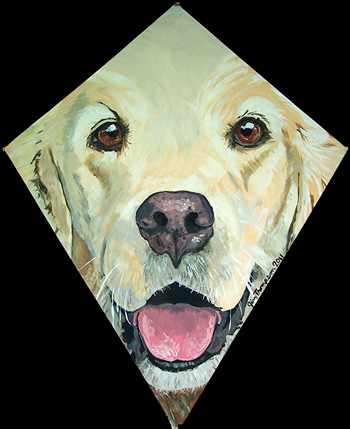 Golden Lab Kite