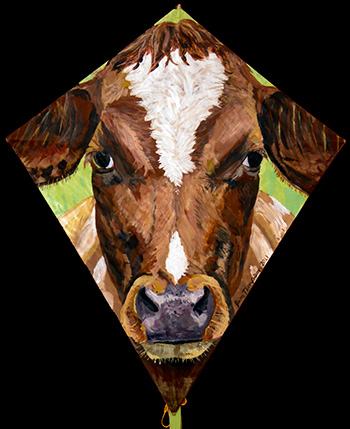 Cow Kite 1