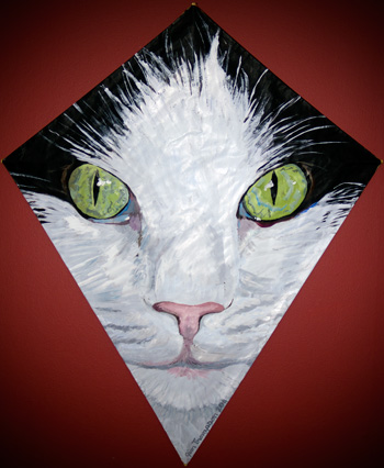 Cat Kite 2