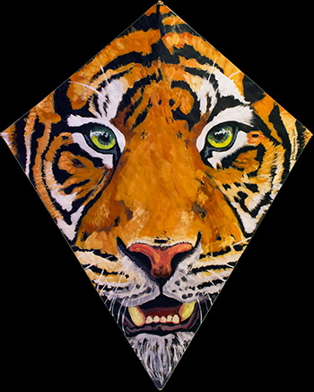 Tiger Kite 5
