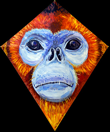 Blue-Face Monkey Kite