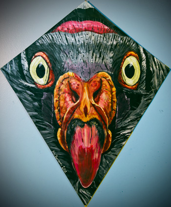 King Vulture Kite