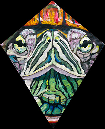Turtle Kite