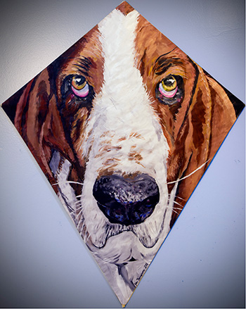 Basset Hound Kite