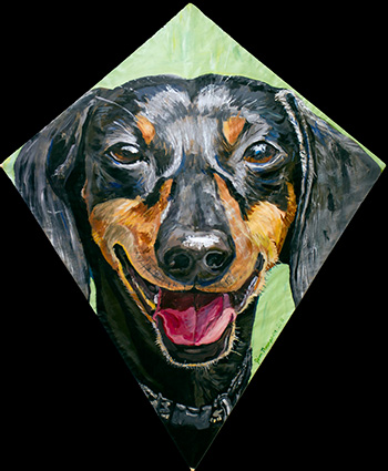 Gus the Dachshund Kite