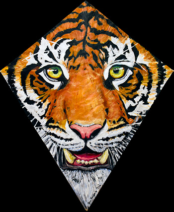 Tiger Kite