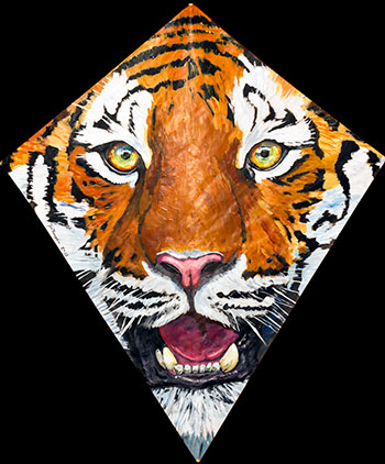 Tiger Kite