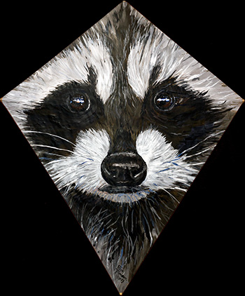 Raccoon Kite