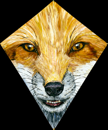 Fox Kite 3