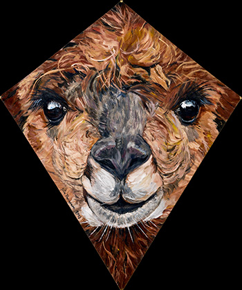 Llama Kite