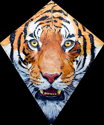 2014 Tiger Kite