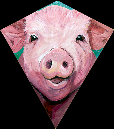 Pig Kite number 3