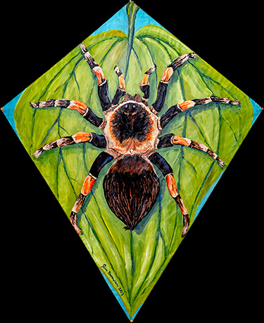 Tarantula Kite