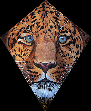 Leopard Kite